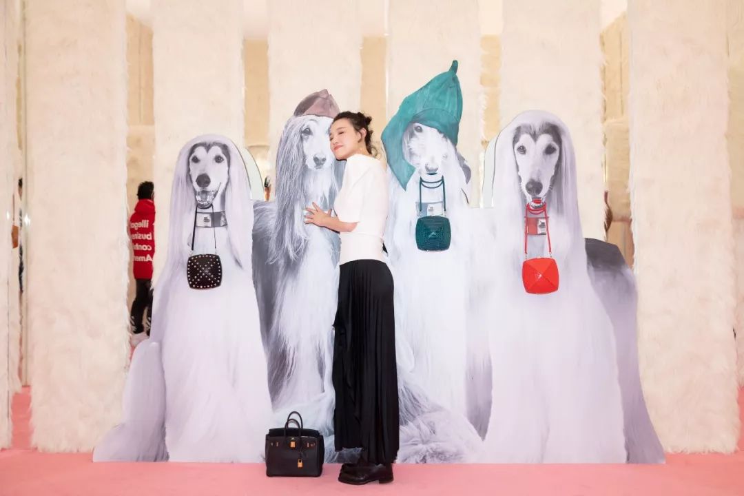 探索爱马仕箱包世界,爱马仕箱包之旅