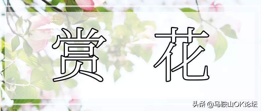 马鞍山市撒野,马鞍山春季攻略