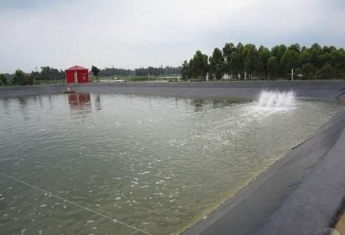 养殖南美白对虾最新技术,高手冬季养虾经验南美白对虾养殖