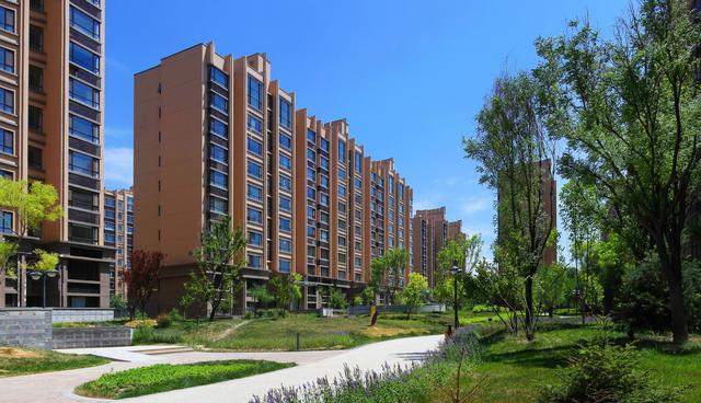 成都双流公办小学哪所学校最好,成都双流幼升小划片一览表2020