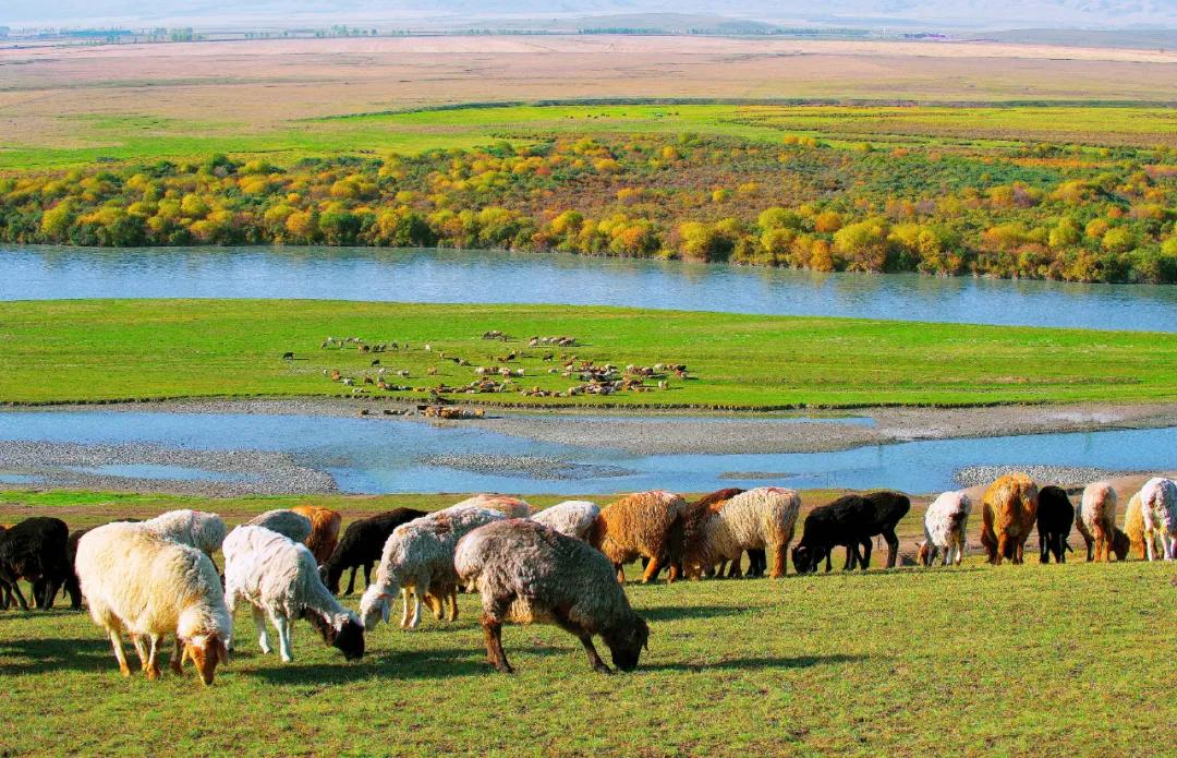 伊犁最美的50处绝色美景,伊犁最美的小众景点