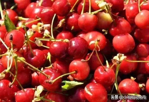 鐝嶇埍鐢熷懡杩滅涓嶈壇鍦堝瓙,鐝嶇埍鐢熷懡杩滅缃戠粶