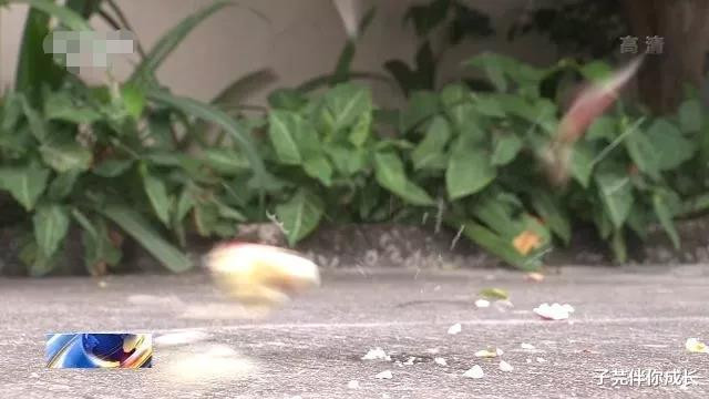 苹果砸醒了牛顿也唤醒了乔布斯,乔布斯用生命挽救了苹果