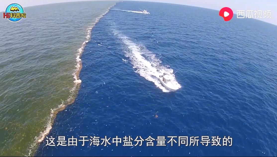 同样是海水，为什么大西洋与太平洋的海水不相融西瓜视频Hi科普啦