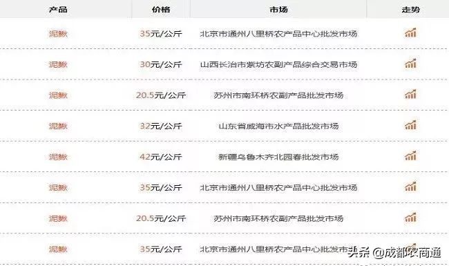 泥鳅养殖前景和价格,泥鳅养殖的价格是多少