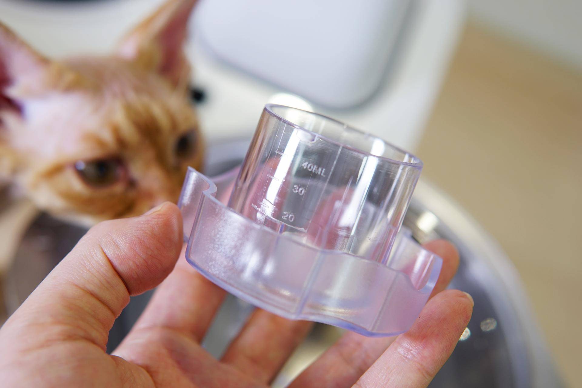 烘焙用的和面机建议买哪种,烘焙店用什么和面机