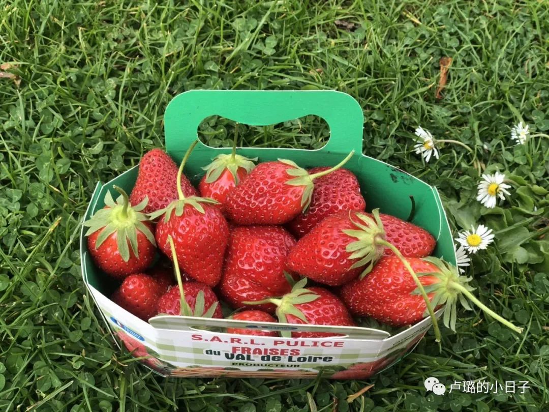 清点那些值得让我人肉背回的法国好物！最低只要9元！