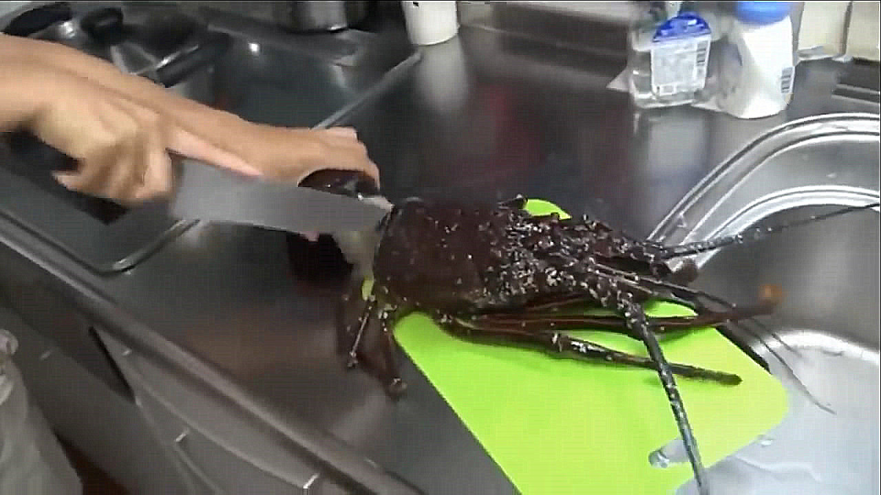 500元买两只大龙虾做秘制小海鲜,买一只大龙虾回来做麻辣大龙虾