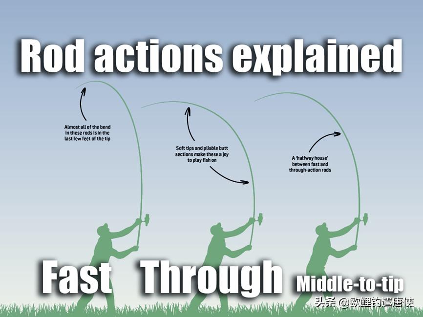 欧鲤钓竿买多长合适呢,欧鲤钓竿全套装备推荐