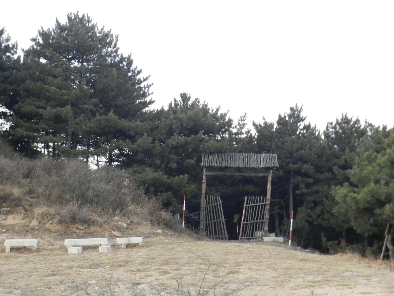 在山里迷路遇到狐狸,在山里迷路遇到了好漂亮的小姑娘