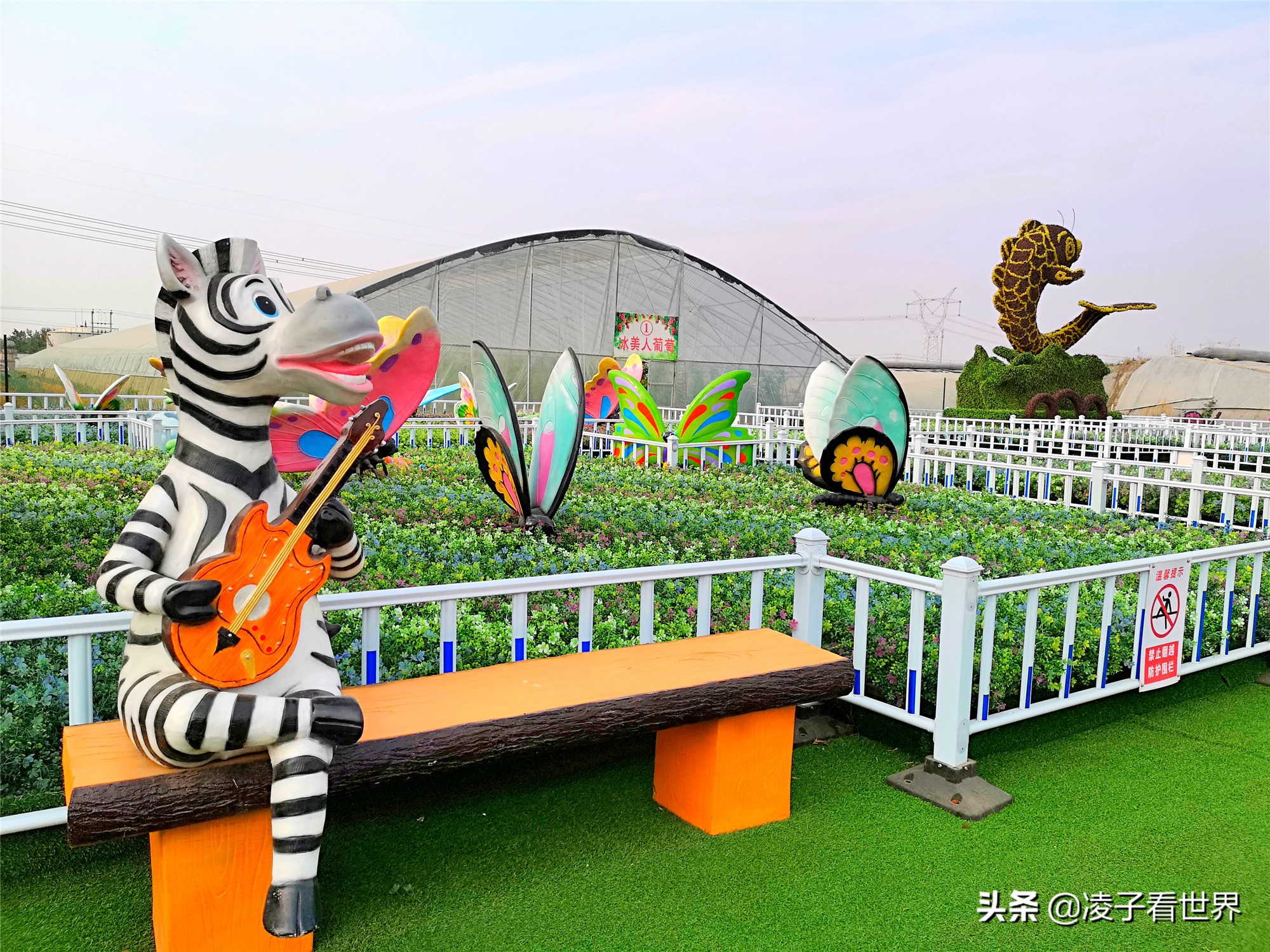 鐭冲搴勬収鐏簞鍥ソ鐜╁悧鍊煎緱鍘诲悧,鐭冲搴勬収鐏簞鍥檮杩戦噰鎽樺洯