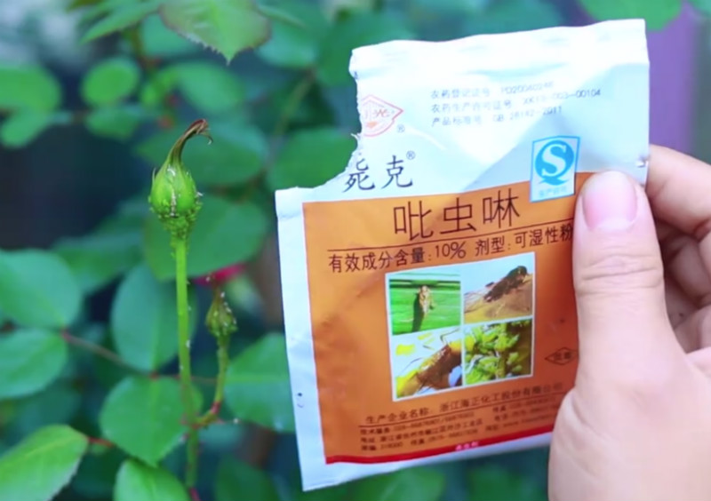 花上起了蚜虫有什么方法去掉,花有小白虫是蚜虫吗怎样消灭它