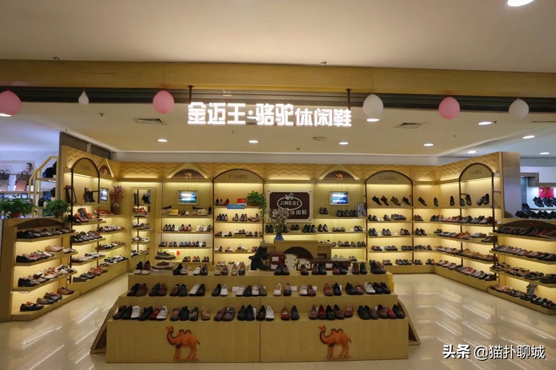 鞋子春天新款女鞋小白鞋,春夏秋都可以穿的小白鞋