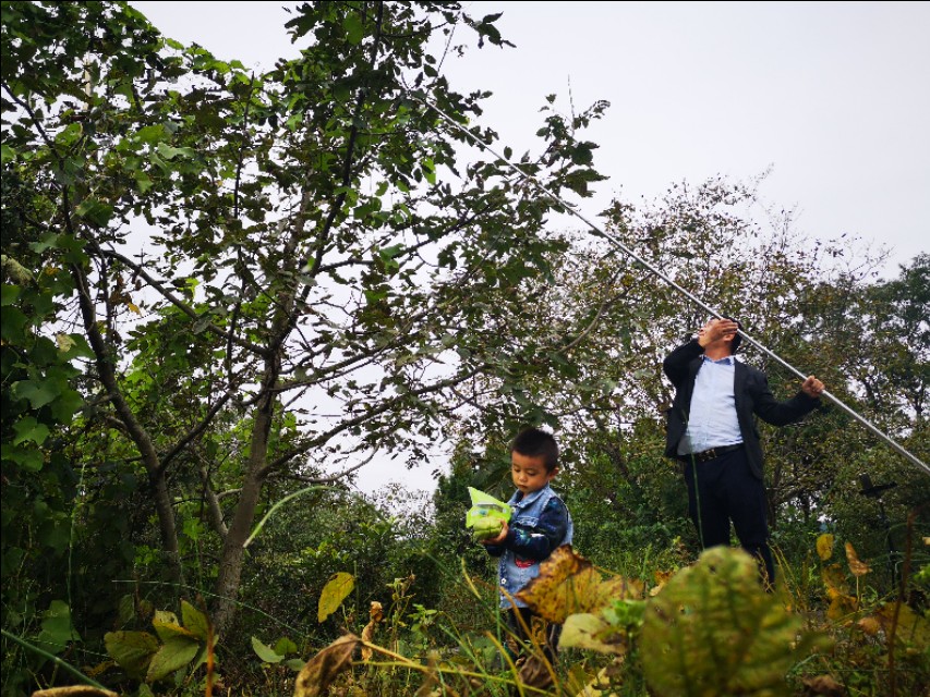 土耳瓜的功效与作用是什么,土耳瓜男女老少都可以吃吗