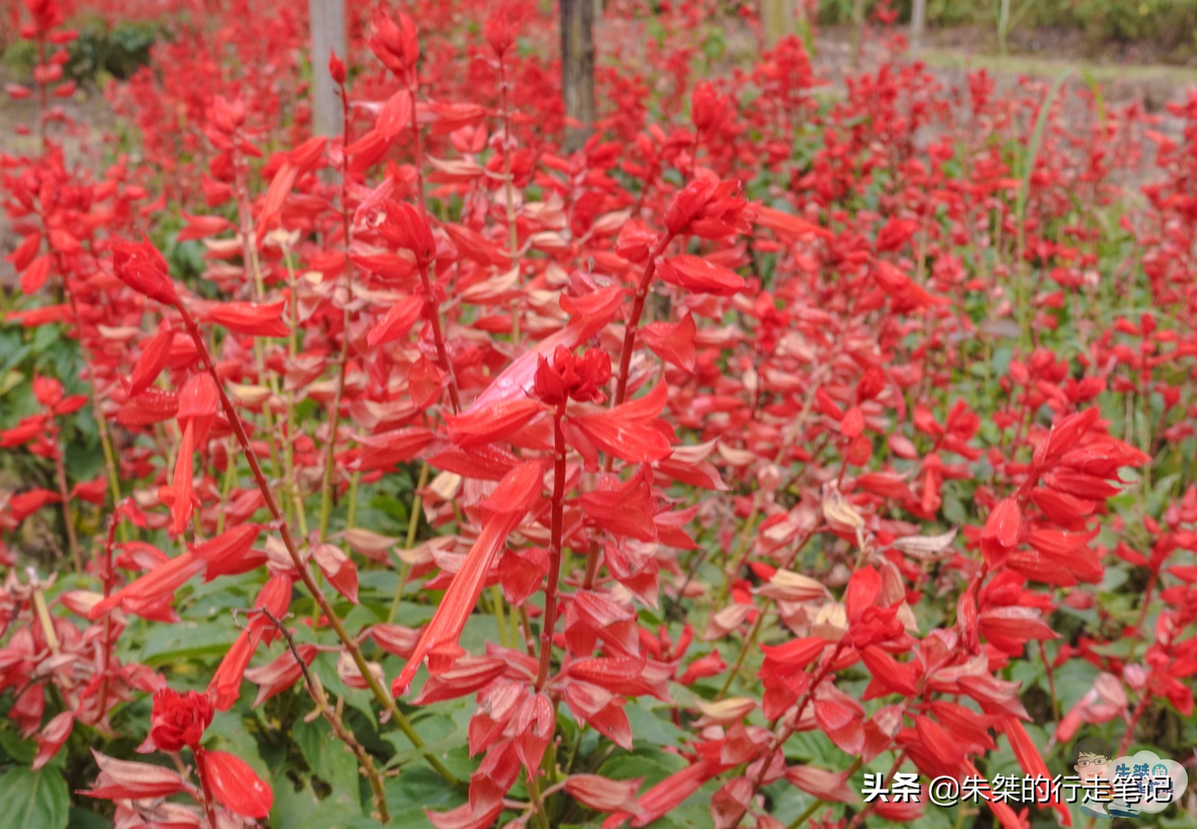 七仙女天柱山风景图片,安徽天柱山天仙峡景区