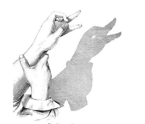 宝宝睡前玩的手影游戏,儿童手脑协调游戏