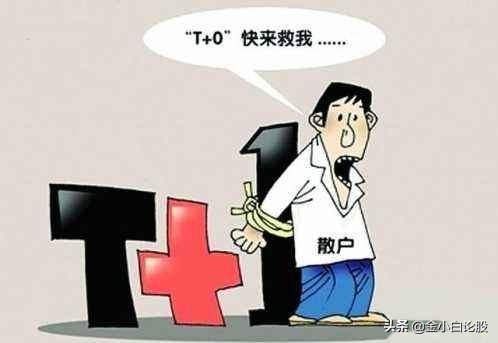t+0战法从入门到精通视频,t+0战法详解视频
