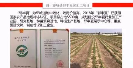 菏泽景点直播视频,2022菏泽大项目观摩