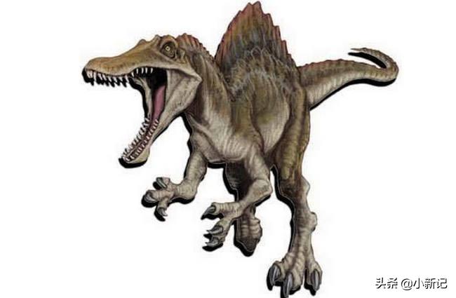 什么恐龙是恐龙世界最厉害的恐龙,恐龙世界最强大的恐龙是什么恐龙