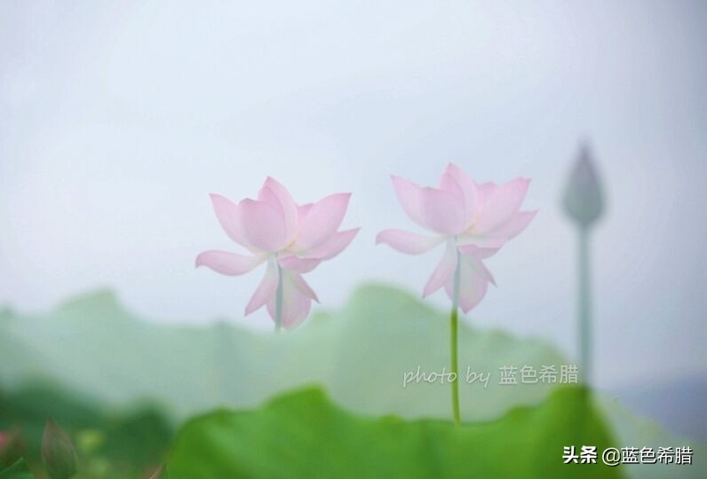 佳能5d3能拍多少数量照片,佳能5d3有多重曝光拍摄技巧