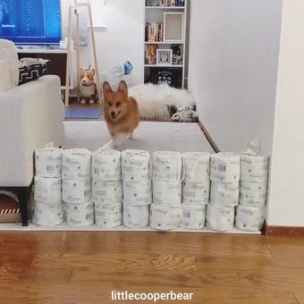 一卷纸换一双AJ，在美帝拥有纸巾的人有多“嚣张”