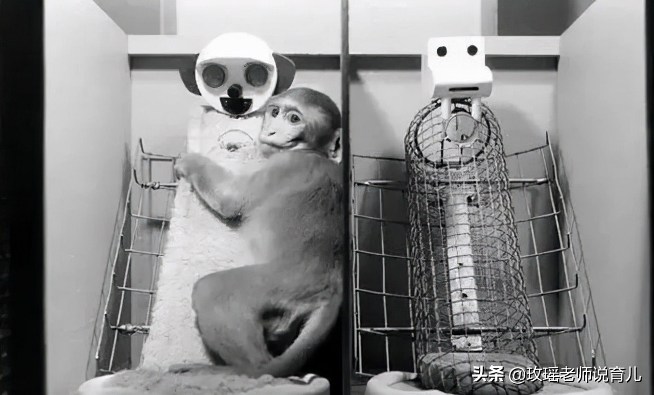 孩子和妈妈不亲近怎么沟通,孩子和妈妈不亲就和奶奶亲怎么办