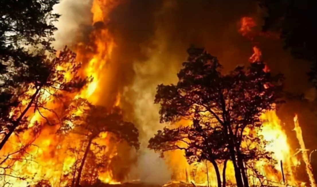 南极冰封史前人类化石,南极冰冻远古人类