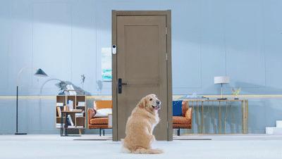 萤石门铃db2c猫眼门铃深度评测,萤石可视门铃和海康威视门铃