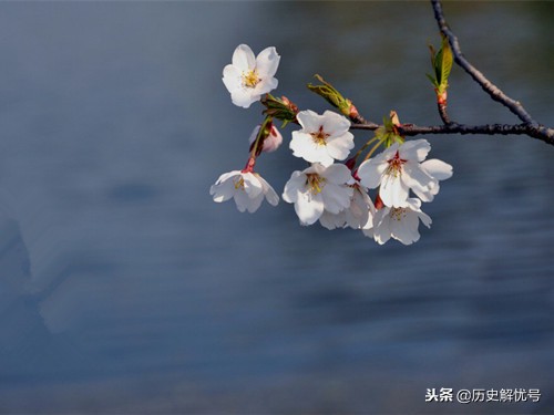 一首诗只有两句却被人们熟知,一首诗家喻户晓却鲜为人知