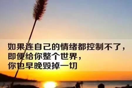 学会控制情绪是最好的人生教养,稳定的情绪才是一个人最好的教养