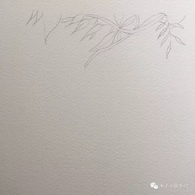 紫藤花水墨教程,紫藤花水粉画法步骤图