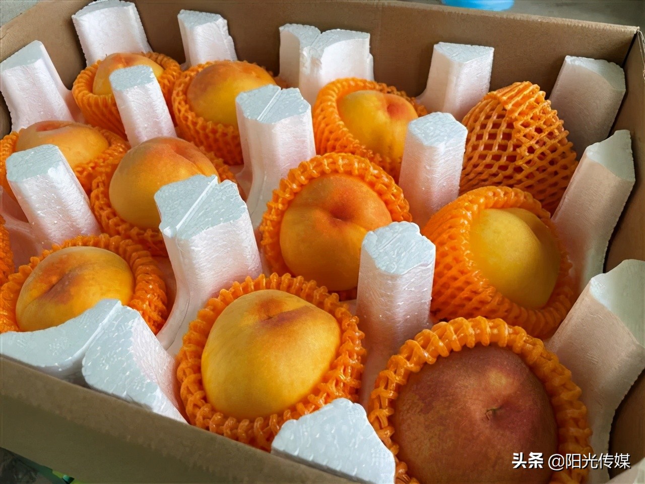 福利来啦！德阳喜欢吃桃子的小伙伴看过来