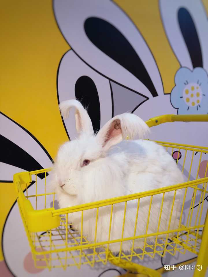 郑州有什么好吃的美食,郑州有什么好玩的地方情侣