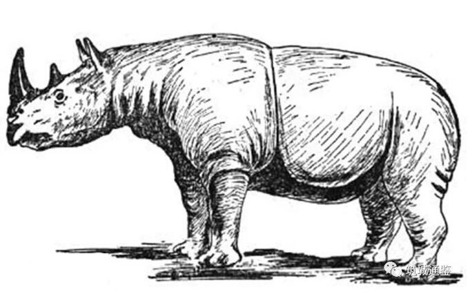 厚唇的人重感情吗,厚唇的微笑唇