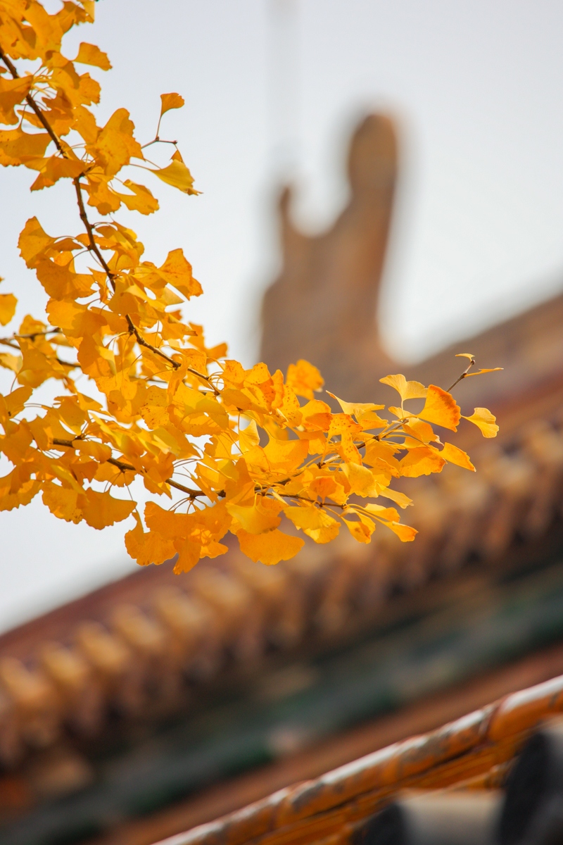 浣宠兘闀跨劍rf100-400,闀跨劍浣宠兘RF闀滃ご