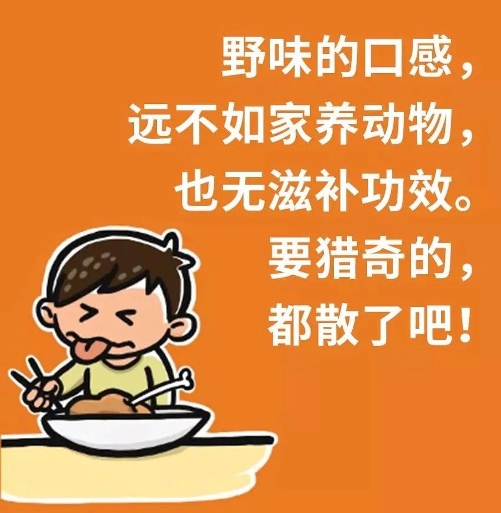 拒绝野味的动物有哪几种,哪些动物属于野味