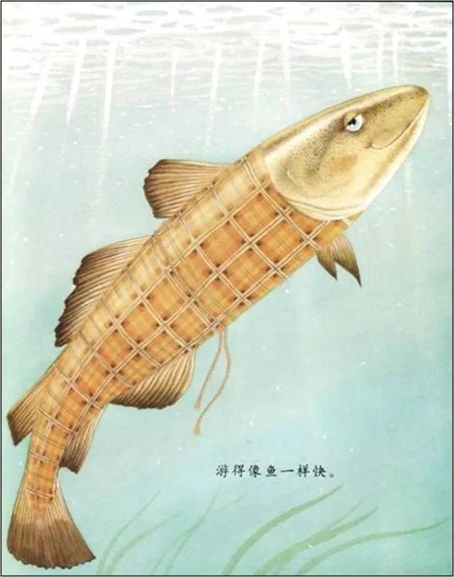 我爱爸爸绘本感悟,我亲爱的爸爸绘本