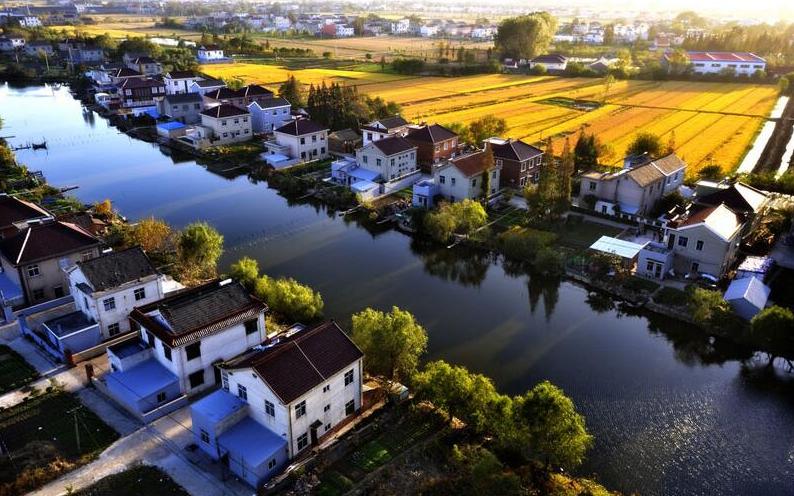 实施乡村振兴战略的总方针是什么,乡村振兴项目申报流程