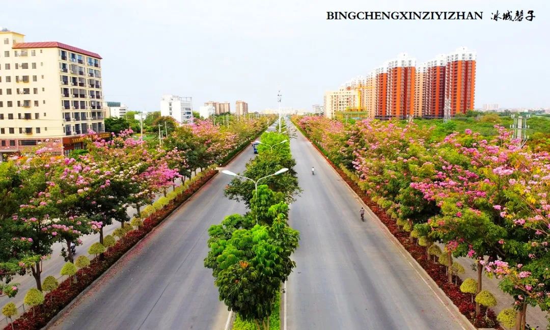 海南乐东九所康养度假村,海南乐东九所康养基地有哪些