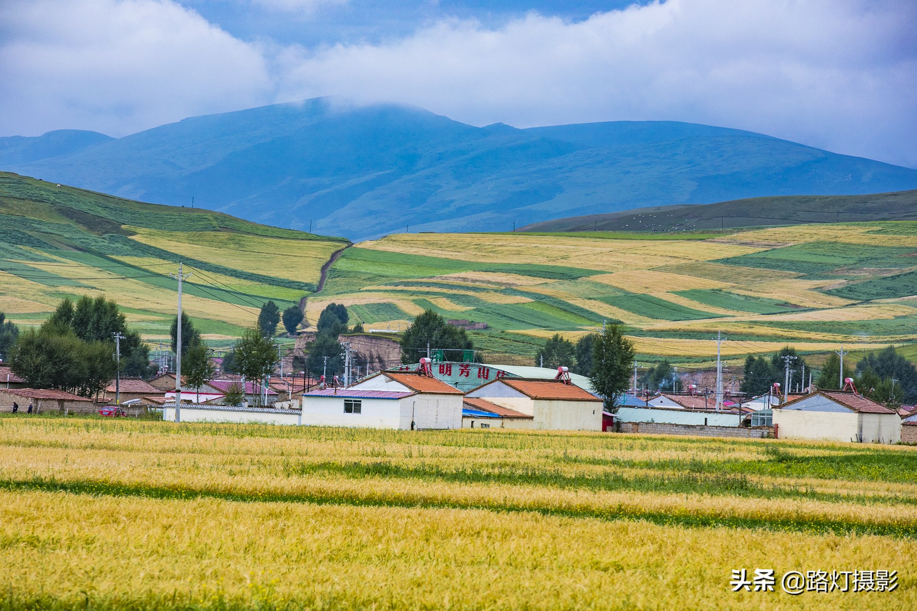 中国最美油菜花赏花地图,中国最美油菜花打卡地方