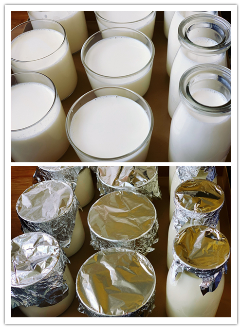 我自制的酸奶怎么会拉丝,正确的自制酸奶步骤