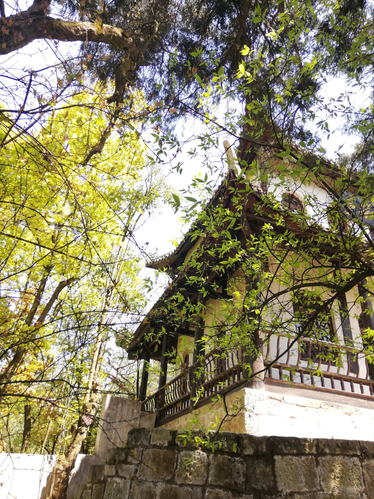 贵州的织金洞旅游攻略,贵州织金洞旅游自由行攻略