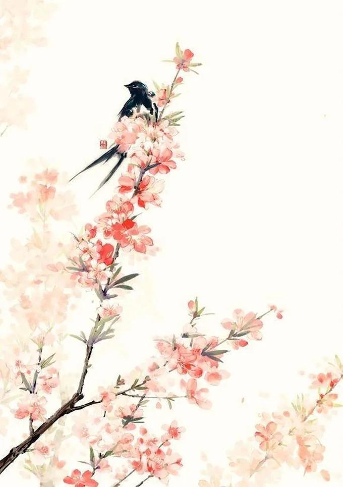 宋词里的春天9种绝美9种心动,宋词里的春天十种美好十种心动