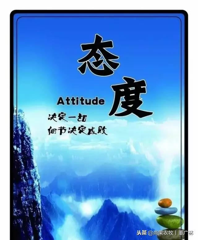 如果现在有育肥1万头和后备3000头两个项目，你会选哪个？