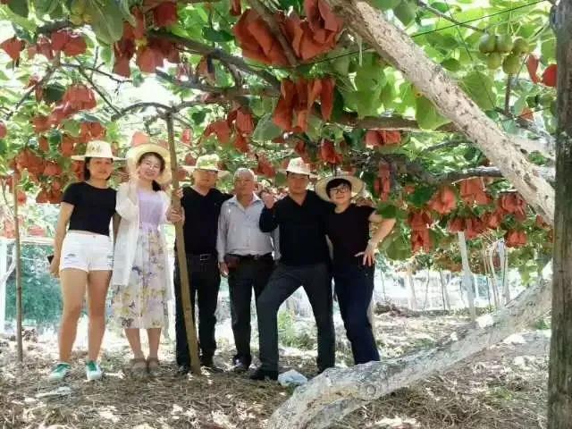 2020乡村振兴补贴新政策出台,乡村振兴2023最新政策解读