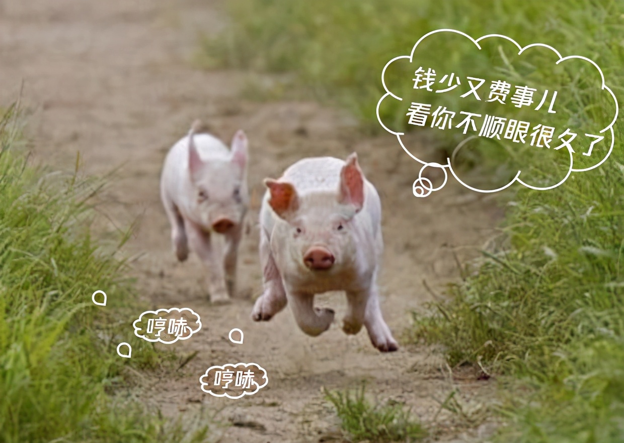 自古真情留不住唯有谎言得人心图,自古深情唯有套路得人心如何套路