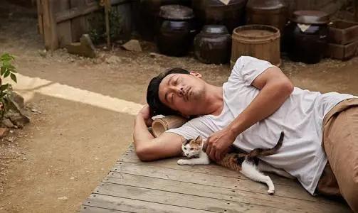 人都是被逼出来的许三观卖血记,许三观卖血记人生感悟