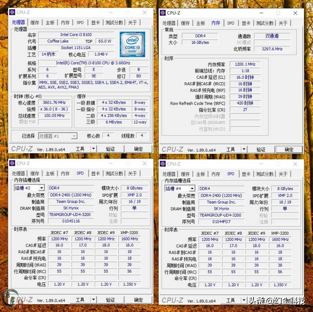 用海力士颗粒做的内存有哪些,十铨vulcanddr42400