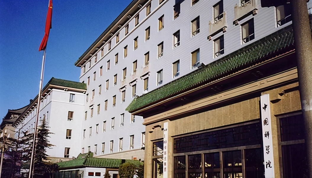 奇美拉现象,奇美拉嵌合体人现象