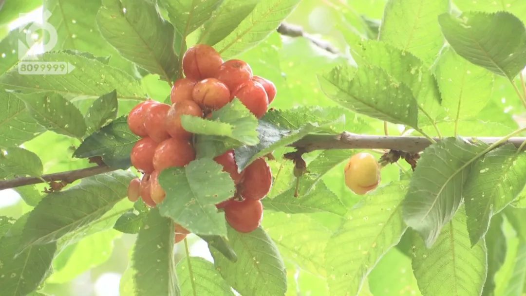 昆明周边适合三四天玩的景点,五一昆明周边自驾游
